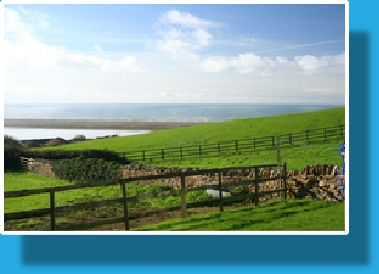 Looking out from the Bungalow's garden