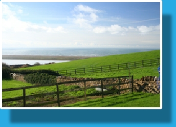 View to the South West from the Bungalow Garden